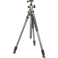 Vanguard Alta Pro 2 Plus 263AB100 Aluminium Tripod with BH-100 Ball Head